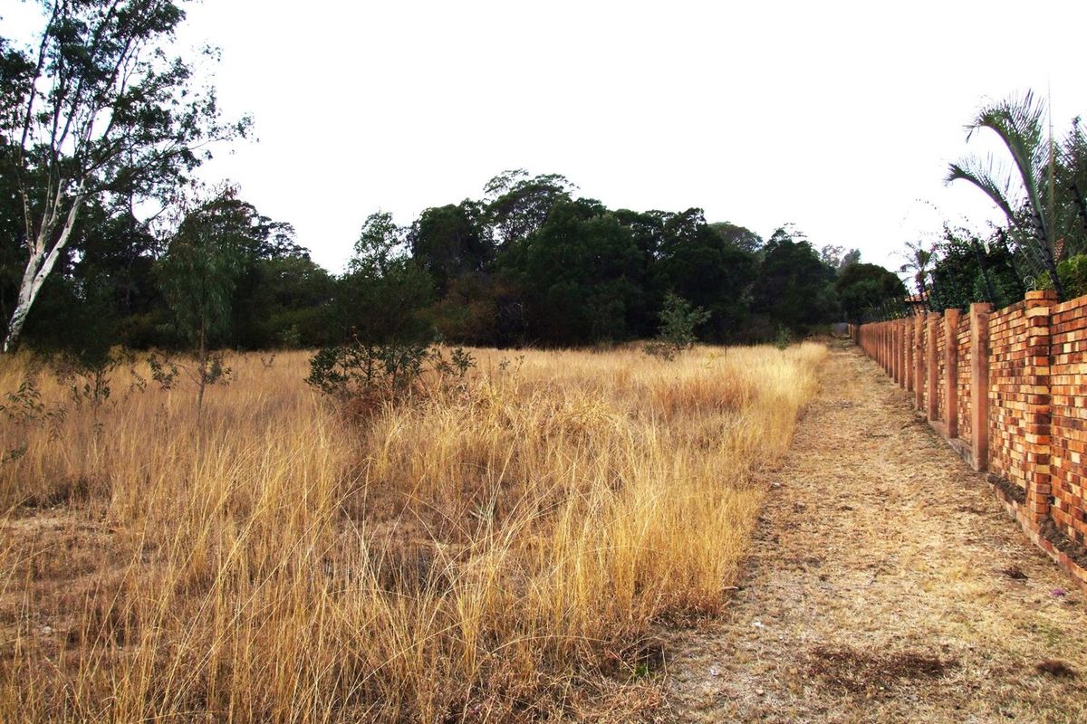 A view of a vacant commercial plot featuring dry grass and a perimeter brick boundary wall with security fencing.