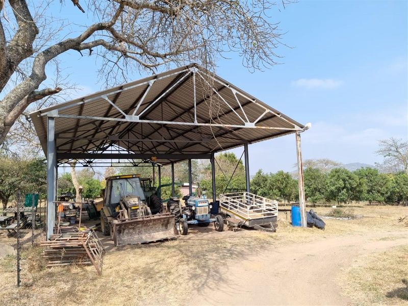 Chicken, Macadamia and Dragon Fruit Farming Opportunity Near Kruger Mpumalanga International Airport - Photo 10