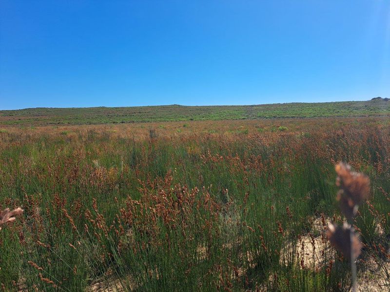Farm UNDER OFFER in Riversdale Rural, Riversdale - Photo 9