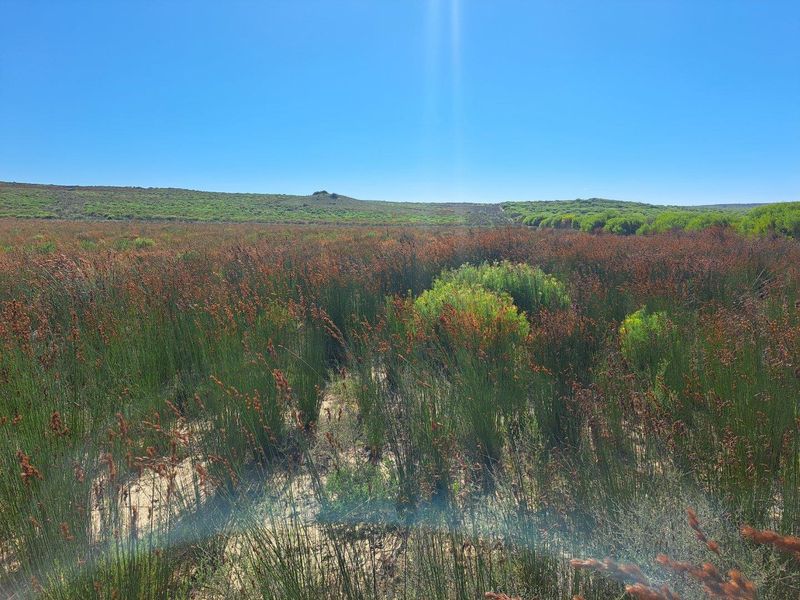 Farm UNDER OFFER in Riversdale Rural, Riversdale - Photo 7