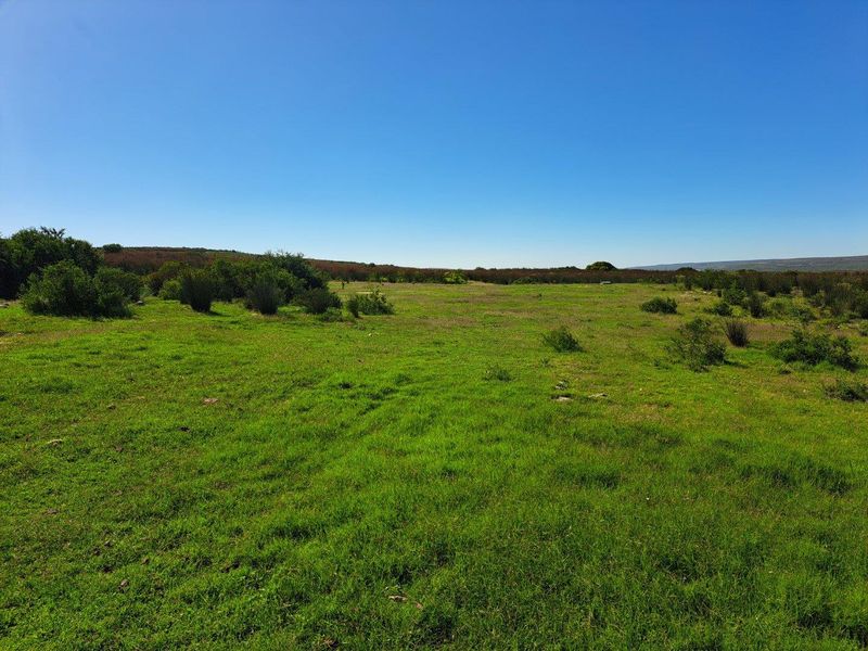 Farm UNDER OFFER in Riversdale Rural, Riversdale - Photo 2