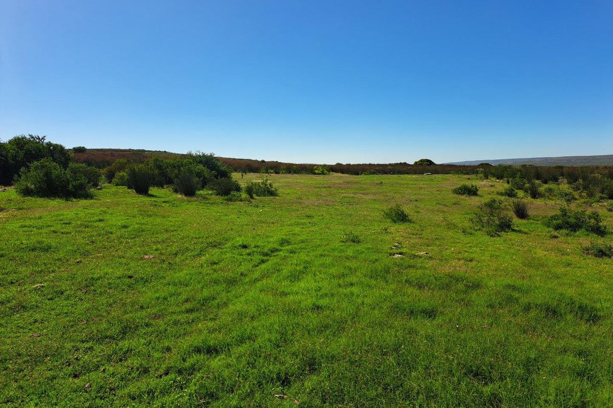 Farm UNDER OFFER in Riversdale Rural, Riversdale - Photo 2