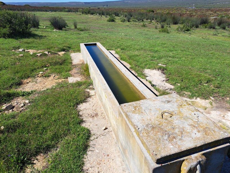 Farm UNDER OFFER in Riversdale Rural, Riversdale - Photo 5