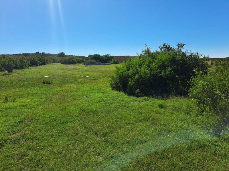 Farm UNDER OFFER in Riversdale Rural, Riversdale - Photo 4