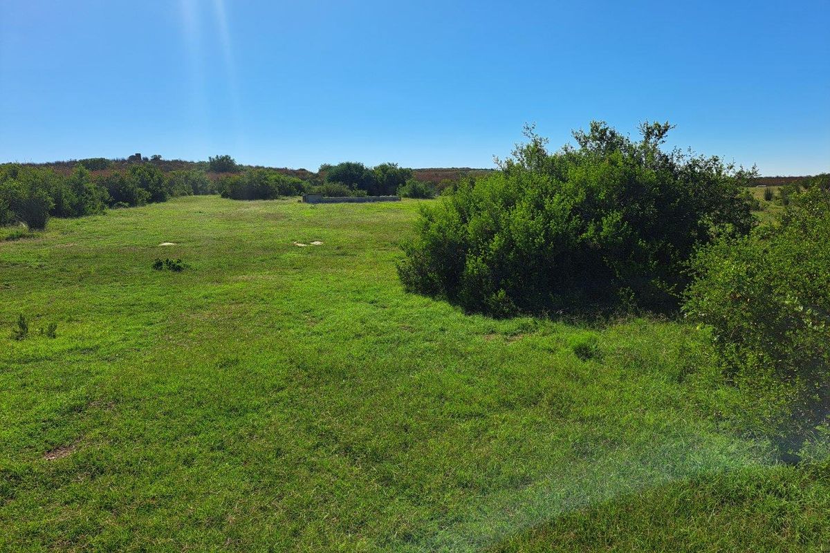 Farm UNDER OFFER in Riversdale Rural, Riversdale - Photo 4