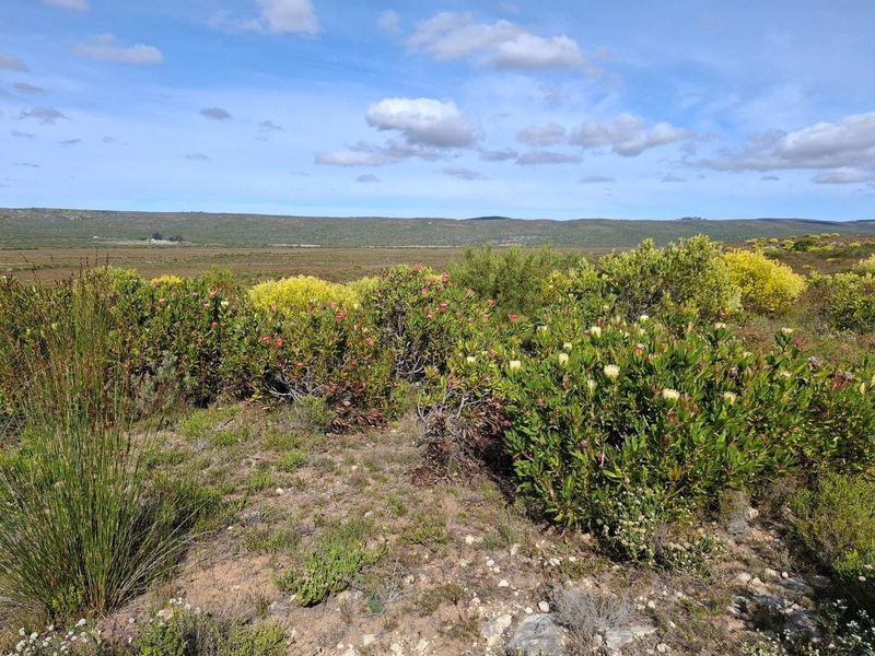 Farm UNDER OFFER in Riversdale Rural, Riversdale - Photo 3