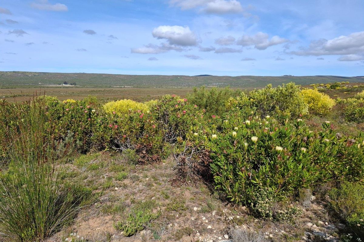 Farm UNDER OFFER in Riversdale Rural, Riversdale - Photo 3
