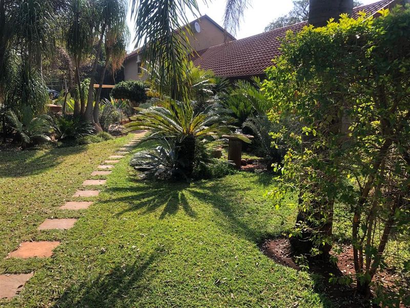 A lush, well-established garden featuring mature palm trees, manicured lawn, and a stone pathway leading toward the main dwelling with a tiled roof.