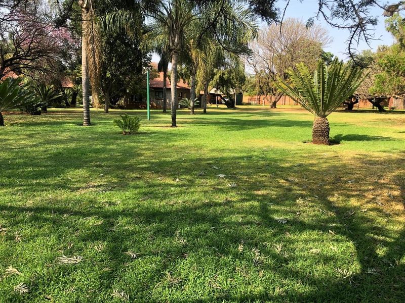A spacious, well-maintained garden area featuring mature trees, established palm trees, and a large lawn on the small holding property.