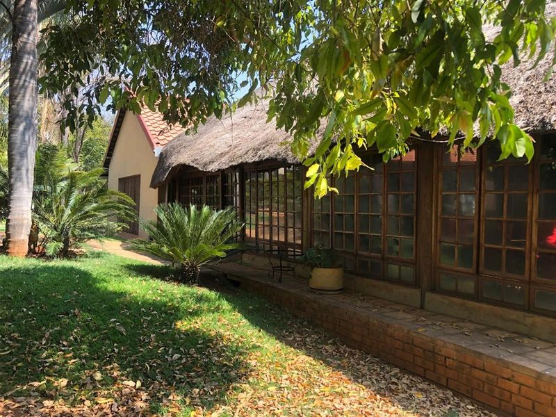 Rear view of a property featuring a traditional thatch roof, extensive timber-framed windows, and a brick-edged patio overlooking a mature garden.