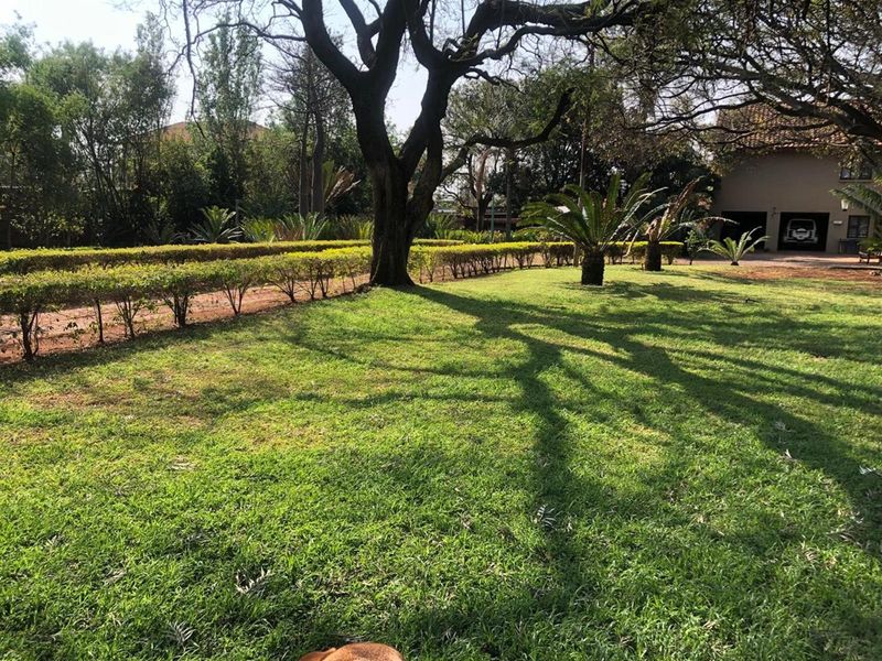 A well-maintained garden area featuring mature trees, manicured hedges, and expansive lawn space on a small holding property.