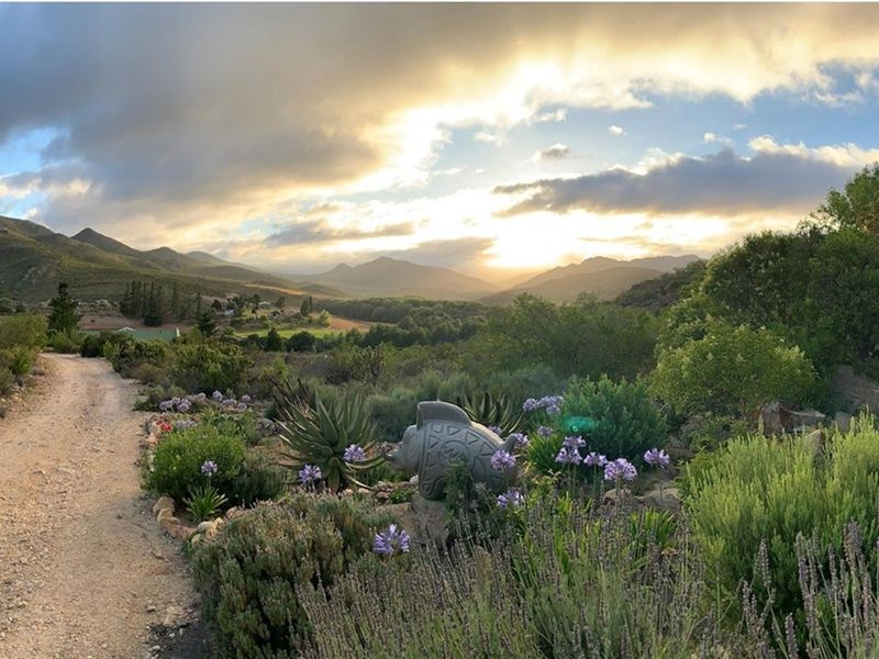 A scenic panoramic view of the farm landscape featuring a gravel access road and established garden beds at sunset.