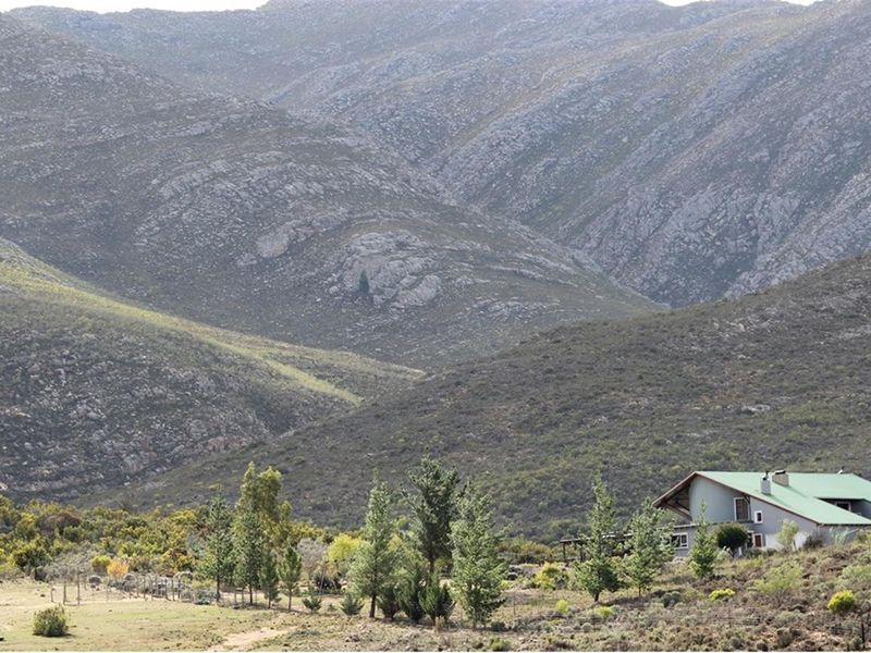 A scenic view of the farm property nestled against a dramatic mountain range, showcasing the expansive natural landscape and rural setting.