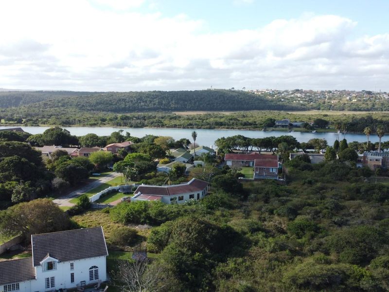 An elevated aerial view of a residential neighborhood featuring lush greenery, established homes, and a scenic river landscape in the background.