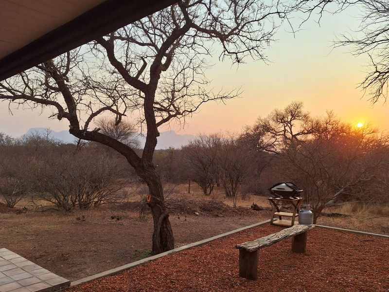 House Available for Rent in Big Game close to Hoedspruit - Photo 4