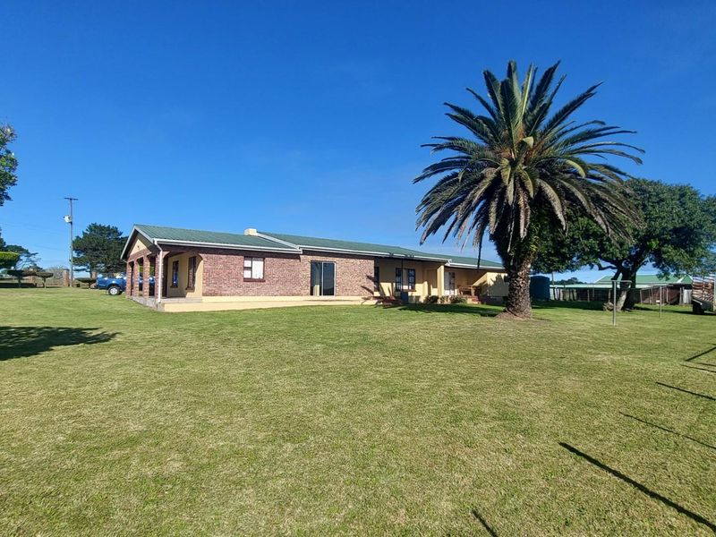 Rear view of a single-story brick farmhouse featuring a covered patio, metal roofing, and expansive surrounding lawn area.