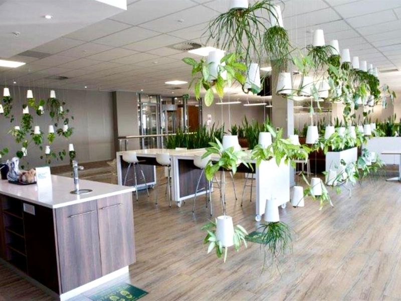 4 Star Green Rated Property in Constantia Kloof - Photo 8