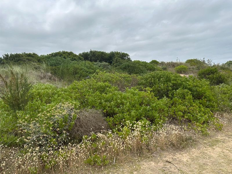 Exceptional Vacant Plot with Breathtaking Views - Photo 8