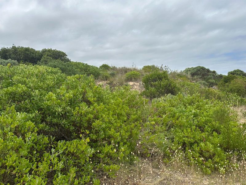 Exceptional Vacant Plot with Breathtaking Views - Photo 7