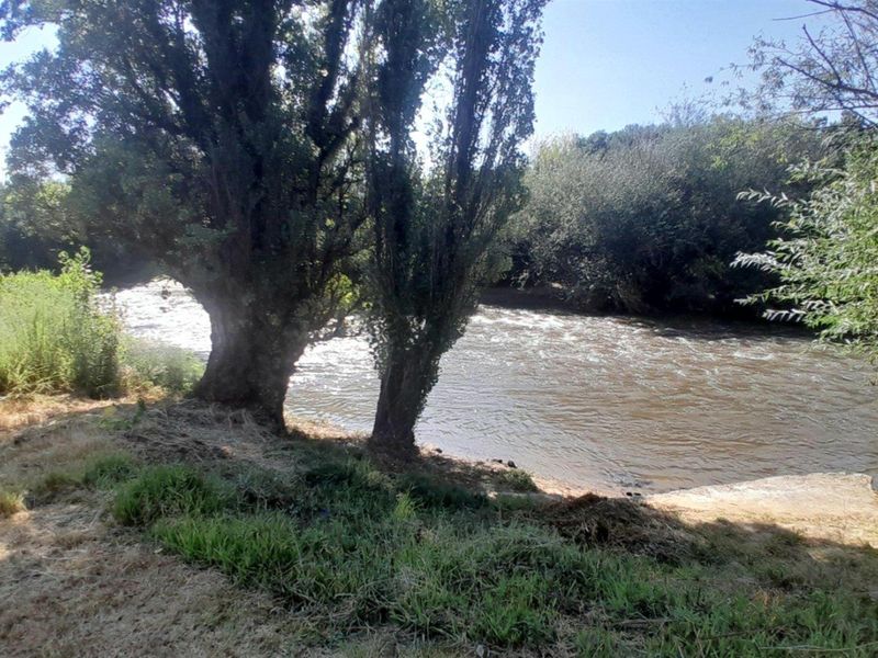 Small Holding For Sale in Kookrus, Meyerton - Photo 5