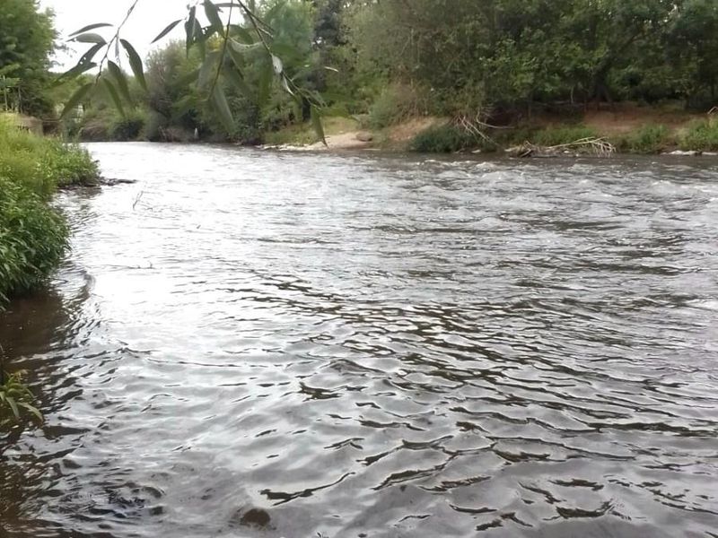 Small Holding For Sale in Kookrus, Meyerton - Photo 9