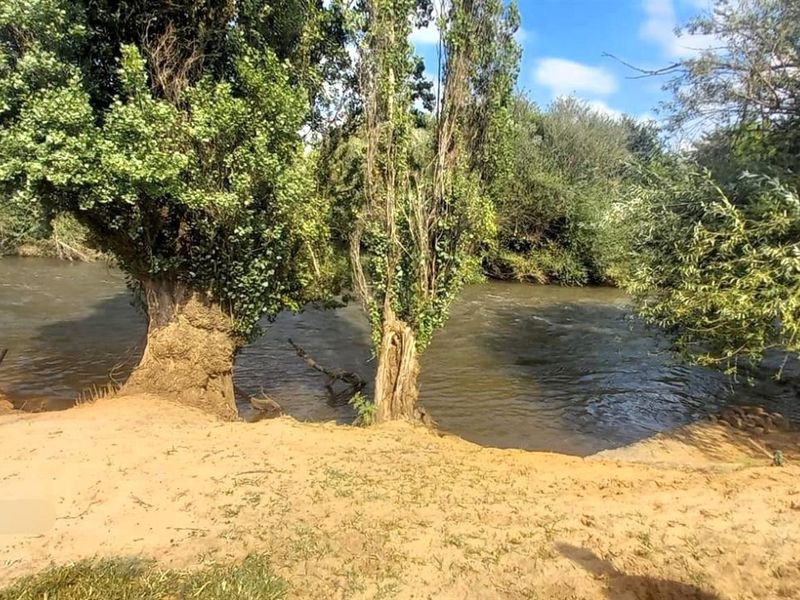 Small Holding For Sale in Kookrus, Meyerton - Photo 10