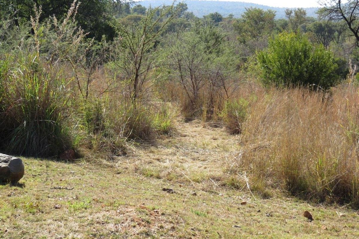 Vacant Land in Zwartkloof Private Game Reserve Spectacular Mountain Views - Photo 4