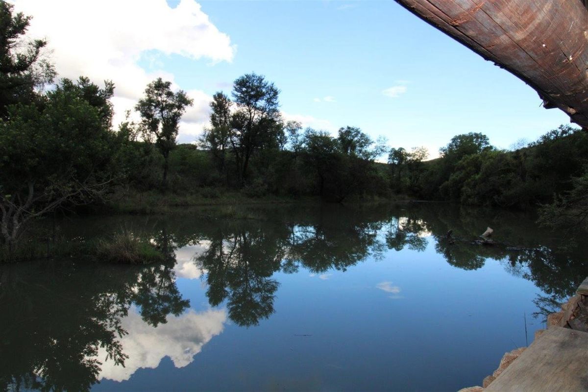 A serene view of a natural pond surrounded by lush trees and vegetation, captured from a shaded vantage point.
