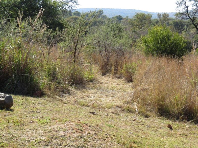 A view of the natural landscape and vegetation on the vacant residential land, showcasing the surrounding bushveld environment.