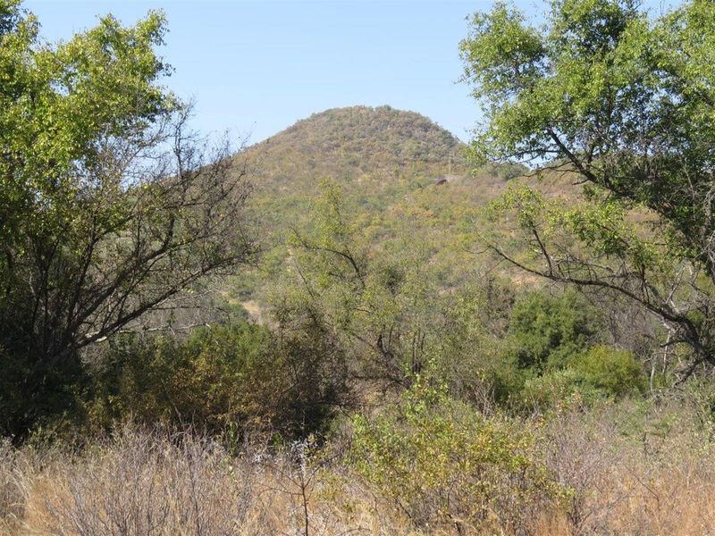 A scenic view of the natural landscape and hillside from the vacant residential property.