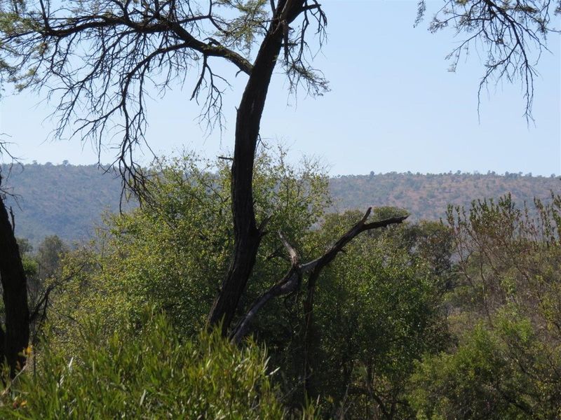 A scenic view of the natural landscape, featuring native trees and rolling hills in the distance.