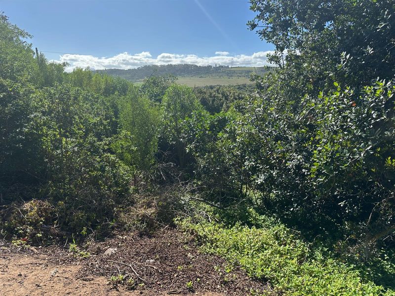 Prime Panhandle Stand in Tergniet - Photo 4