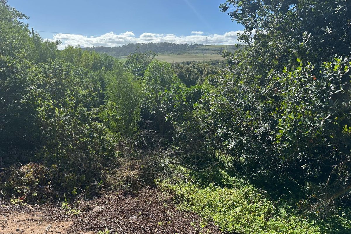 Prime Panhandle Stand in Tergniet - Photo 4