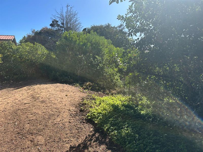 Prime Panhandle Stand in Tergniet - Photo 5