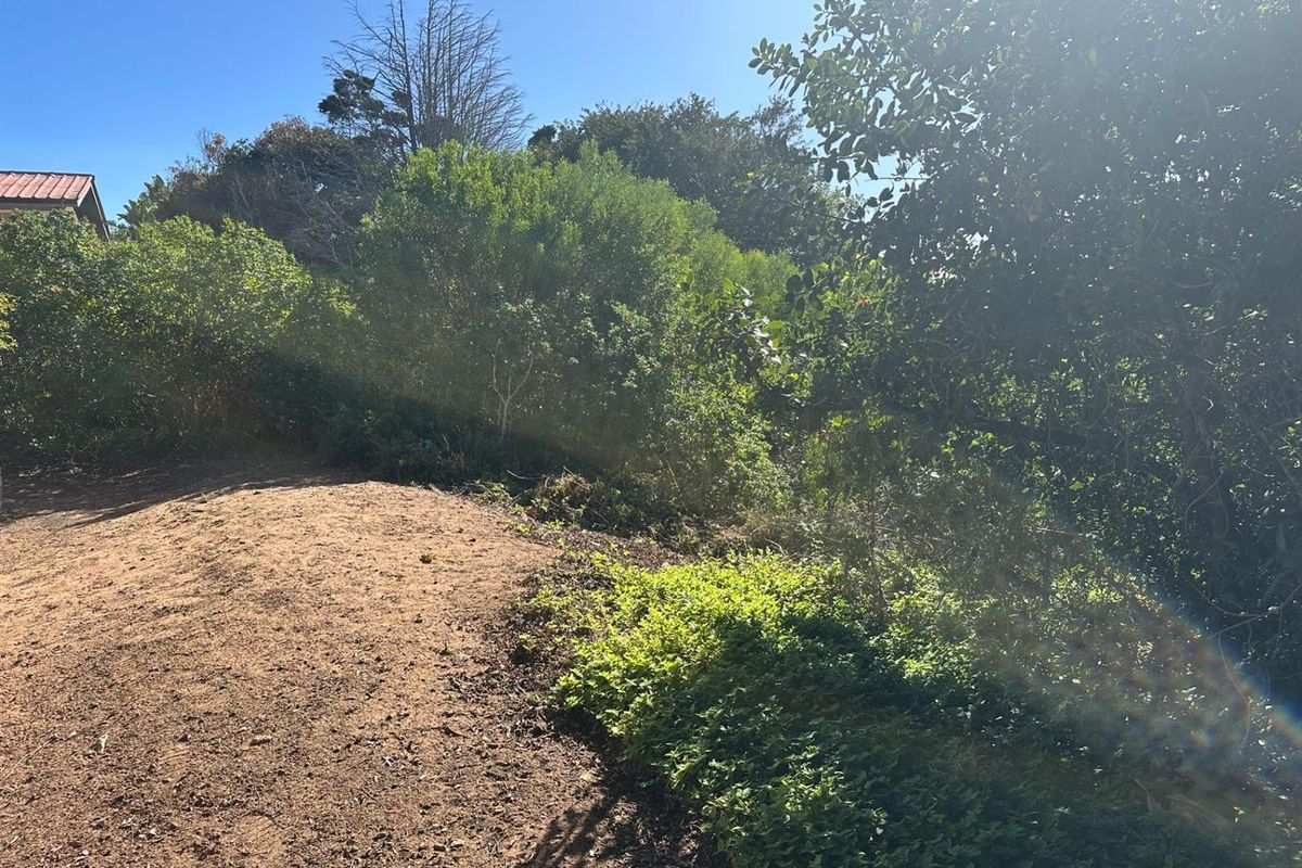 Prime Panhandle Stand in Tergniet - Photo 5