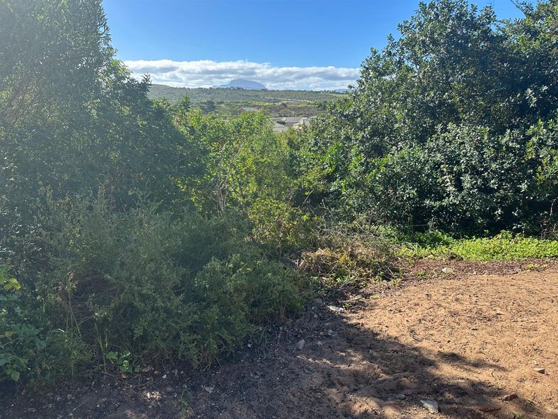 Prime Panhandle Stand in Tergniet - Photo 3