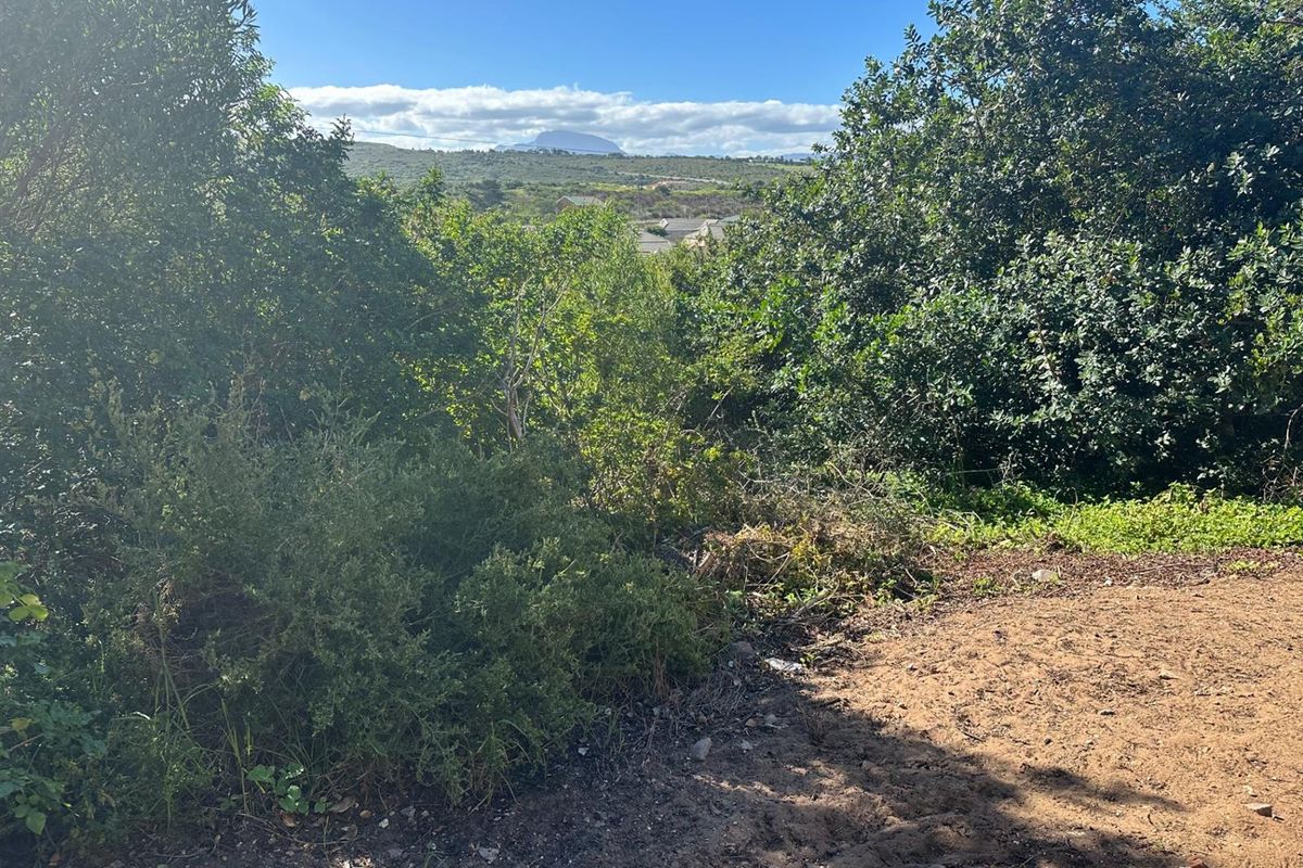 Prime Panhandle Stand in Tergniet - Photo 3