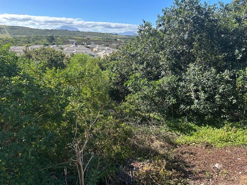 Prime Panhandle Stand in Tergniet - Photo 2