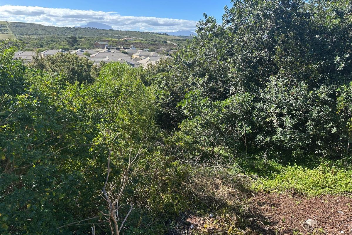 Prime Panhandle Stand in Tergniet - Photo 2