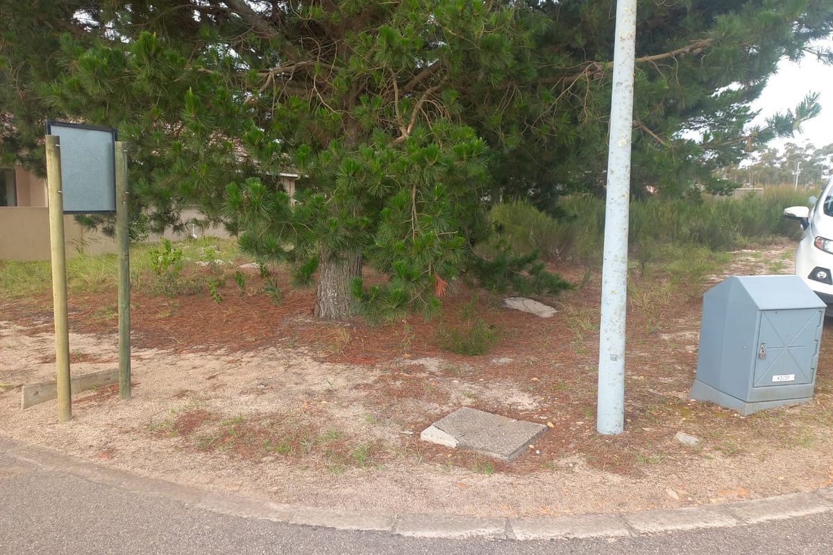 Vacant Land For Sale in Albertinia - Photo 2