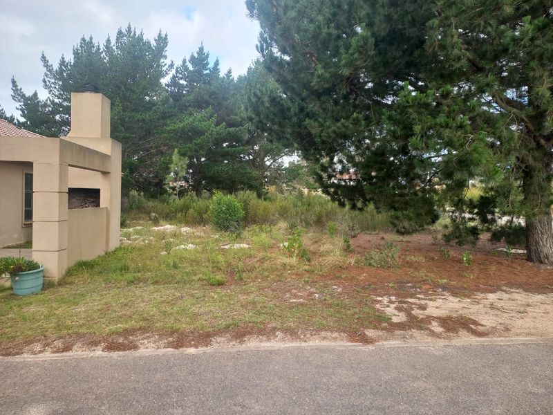 Vacant Land For Sale in Albertinia - Photo 3