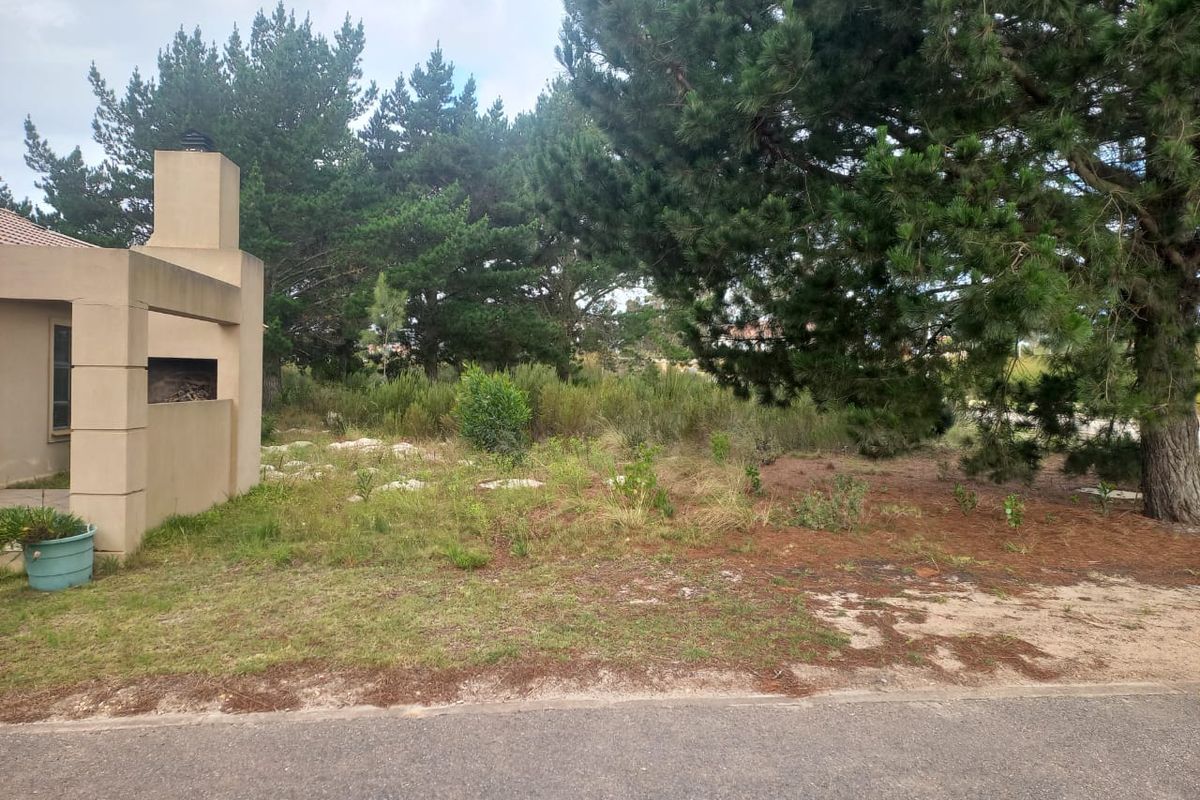 Vacant Land For Sale in Albertinia - Photo 3