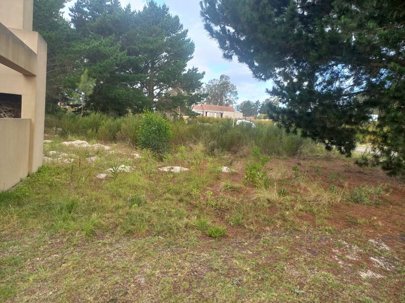 Vacant Land For Sale in Albertinia