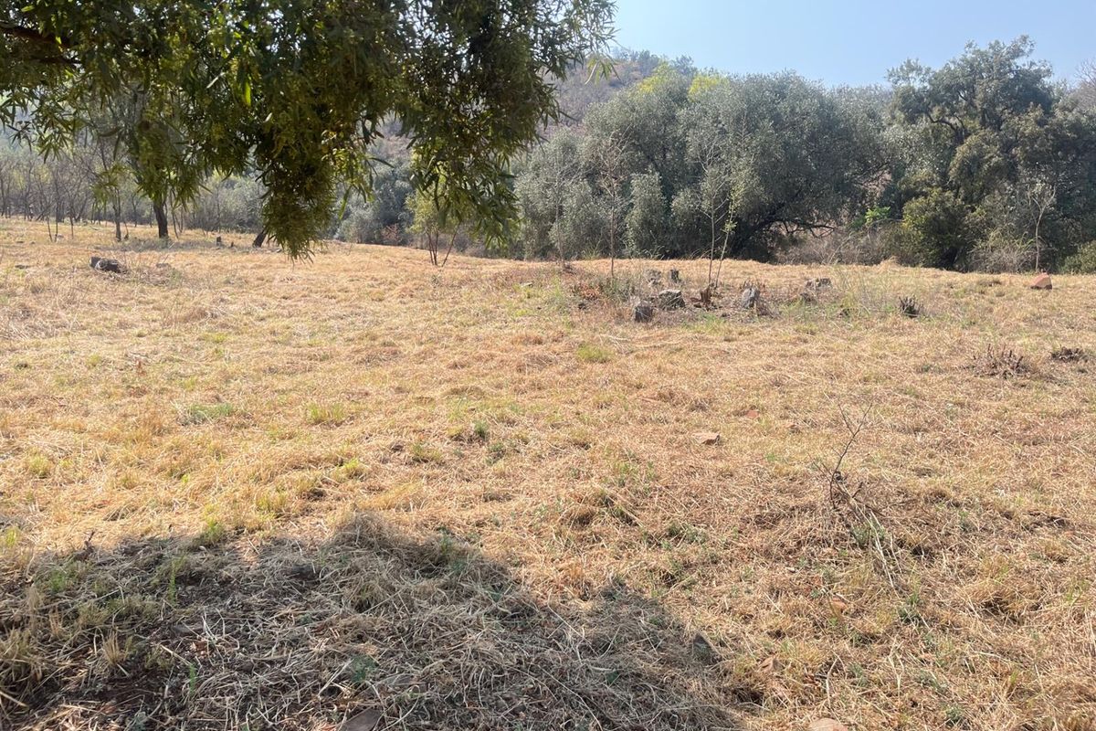 Vacant Land For Sale in Estate D' Afrique, Hartbeespoort, North West - Photo 5