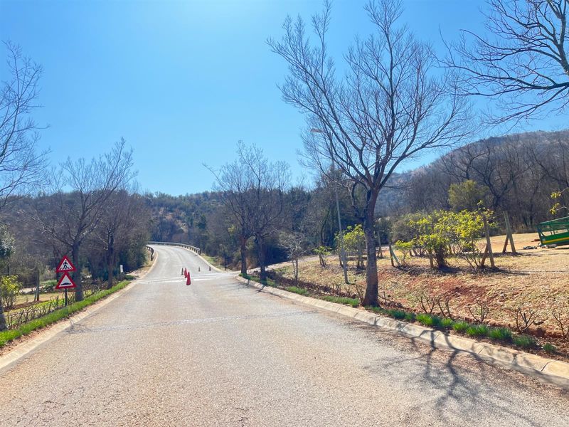 A view of the paved access road leading through the residential estate, surrounded by natural landscape and mature trees.