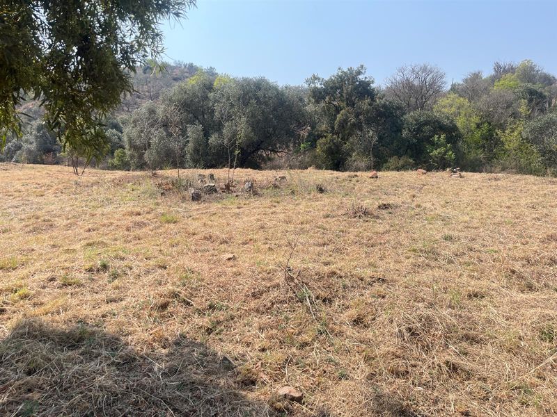 A view of a vacant residential plot featuring natural dry grass and mature trees in the background.
