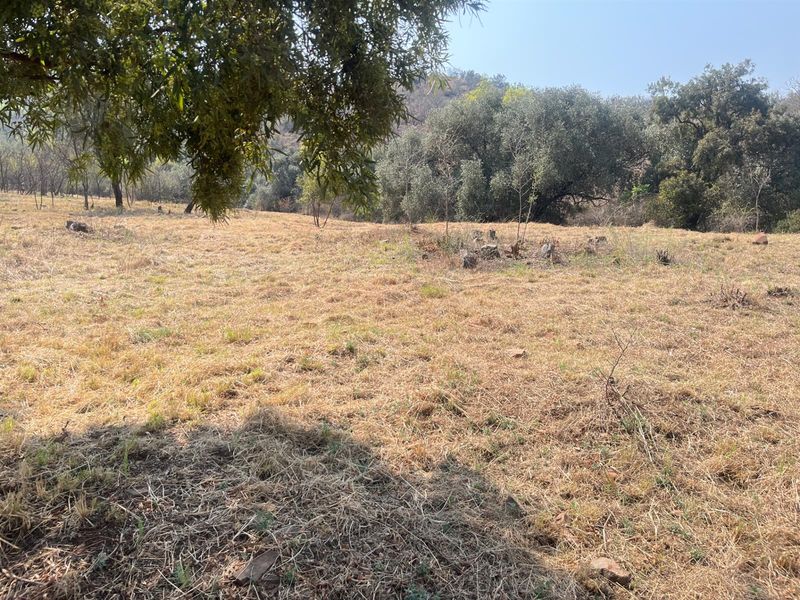 A view of the vacant residential land featuring dry grass, mature trees, and natural vegetation, suitable for future development.