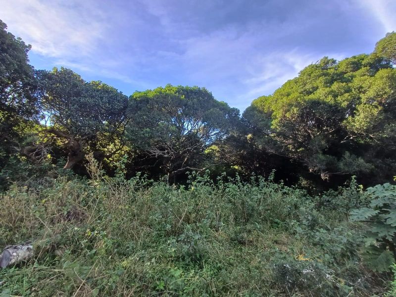 Prime Vacant Land for Sale in Cintsa East - Ready to Build! - Photo 8