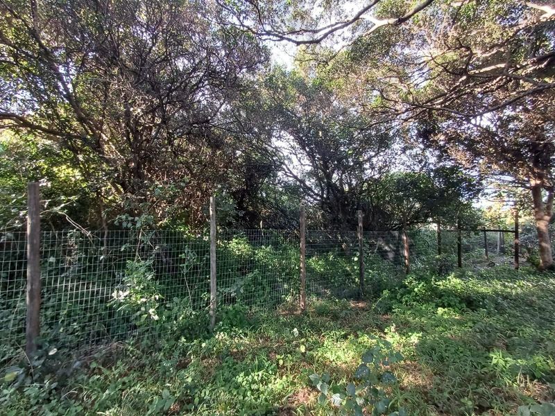 Prime Vacant Land for Sale in Cintsa East - Ready to Build! - Photo 6