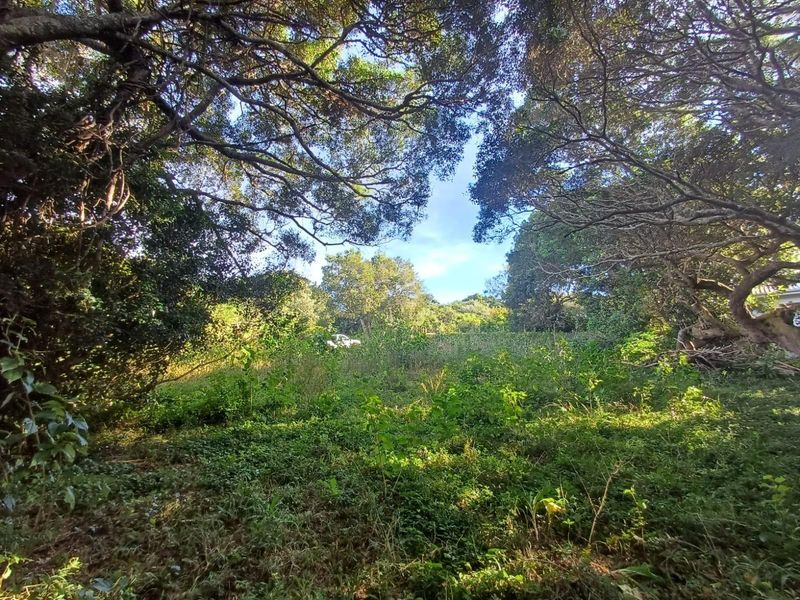 Prime Vacant Land for Sale in Cintsa East - Ready to Build! - Photo 5